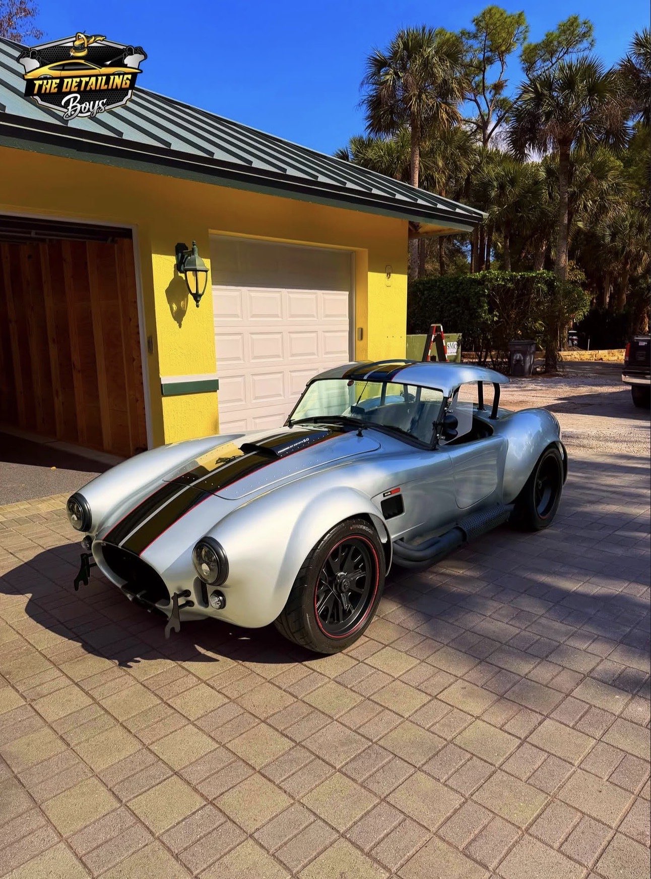 Detailed Cobra